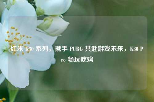 红米 K30 系列,携手 PUBG 共赴游戏未来,K30 Pro 畅玩吃鸡