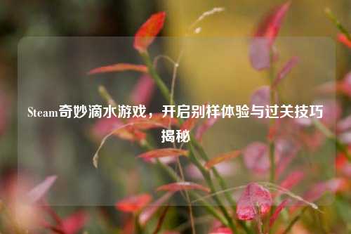 Steam奇妙滴水游戏，开启别样体验与过关技巧揭秘