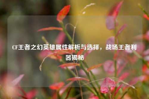 CF王者之幻英雄属性解析与选择，战场王者利器揭秘