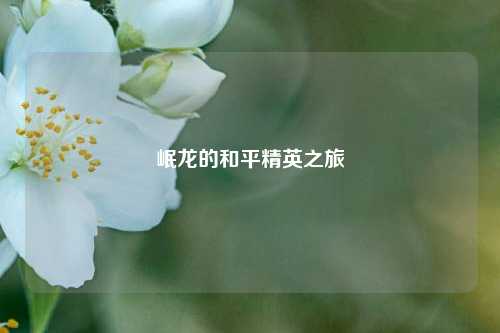 岷龙的和平精英之旅