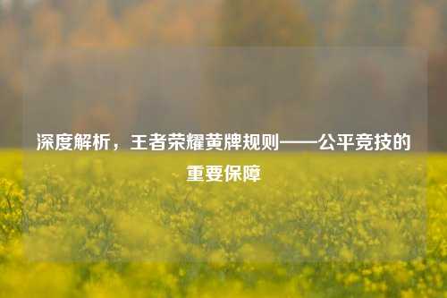 深度解析,王者荣耀黄牌规则——公平竞技的重要保障