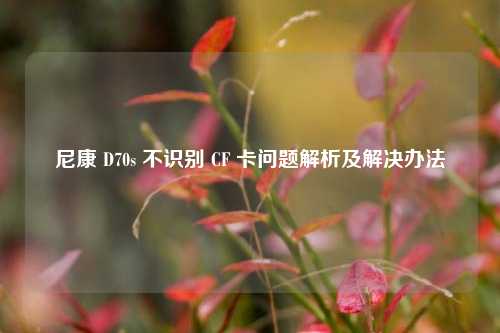 尼康 D70s 不识别 CF 卡问题解析及解决办法