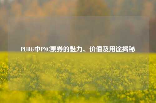 PUBG中PNC票券的魅力、价值及用途揭秘