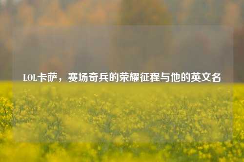 LOL卡萨,赛场奇兵的荣耀征程与他的英文名