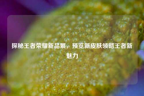 探秘王者荣耀新品展,预览新皮肤领略王者新魅力