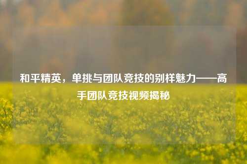 和平精英，单挑与团队竞技的别样魅力——高手团队竞技视频揭秘