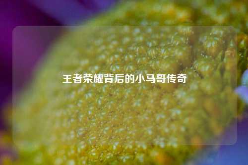 王者荣耀背后的小马哥传奇