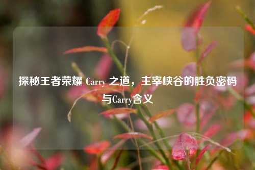 探秘王者荣耀 Carry 之道,主宰峡谷的胜负密码与Carry含义