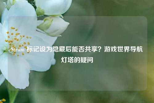 Steam 标记设为隐藏后能否共享?游戏世界导航灯塔的疑问