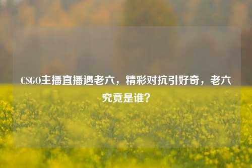 CSGO主播直播遇老六，精彩对抗引好奇，老六究竟是谁？