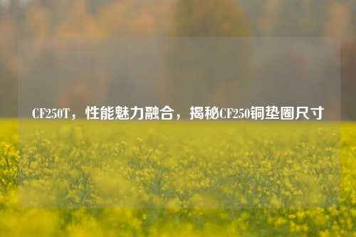 CF250T，性能魅力融合，揭秘CF250铜垫圈尺寸