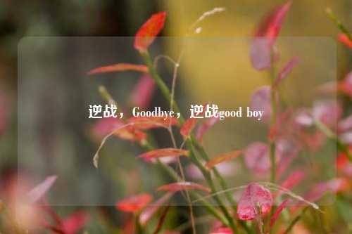 逆战，Goodbye，逆战good boy