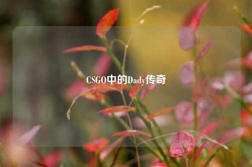 CSGO中的Dady传奇