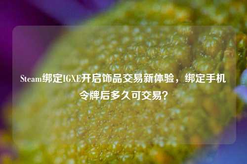 Steam绑定IGXE开启饰品交易新体验,绑定手机令牌后多久可交易?