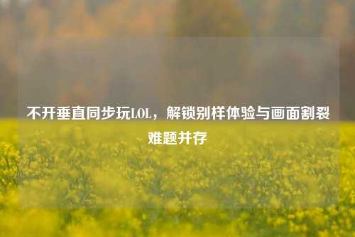 不开垂直同步玩LOL,解锁别样体验与画面割裂难题并存
