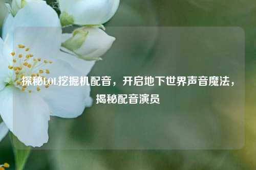 探秘LOL挖掘机配音，开启地下世界声音魔法，揭秘配音演员