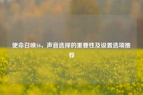 使命召唤16,声音选择的重要性及设置选项推荐