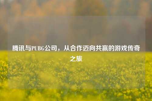 腾讯与PUBG公司,从合作迈向共赢的游戏传奇之旅
