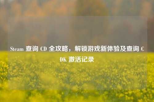 Steam 查询 CD 全攻略，解锁游戏新体验及查询 CDK 激活记录