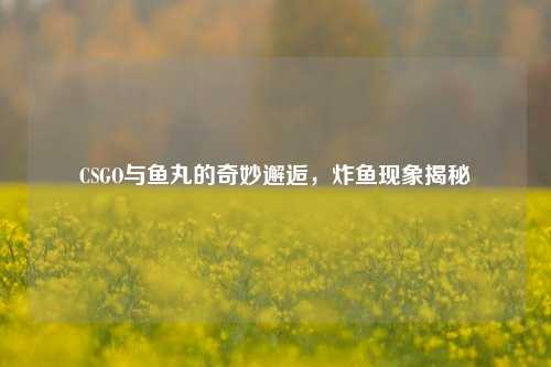 CSGO与鱼丸的奇妙邂逅,炸鱼现象揭秘