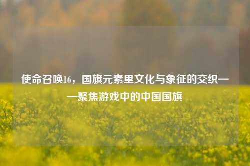 使命召唤16,国旗元素里文化与象征的交织——聚焦游戏中的中国国旗