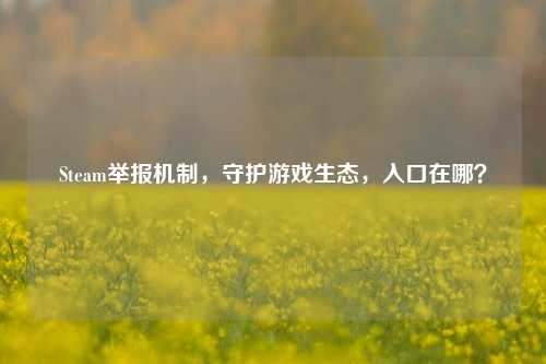 Steam举报机制,守护游戏生态,入口在哪?