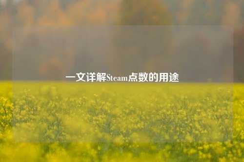 一文详解Steam点数的用途