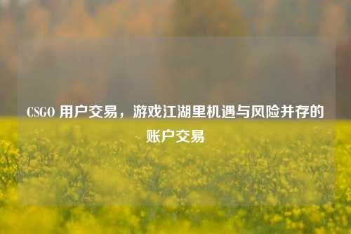 CSGO 用户交易,游戏江湖里机遇与风险并存的账户交易