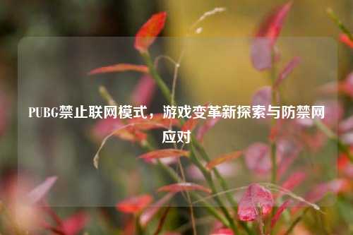 PUBG禁止联网模式,游戏变革新探索与防禁网应对