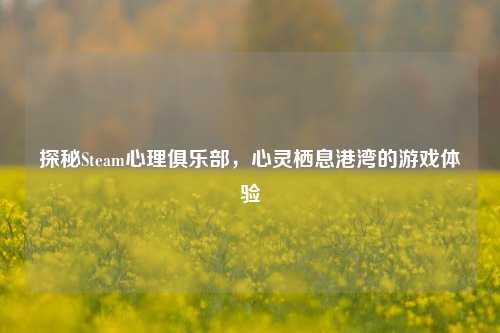 探秘Steam心理俱乐部,心灵栖息港湾的游戏体验