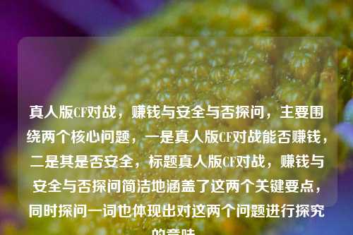 真人版CF对战,赚钱与安全与否探问,主要围绕两个核心问题,一是真人版CF对战能否赚钱,二是其是否安全,标题真人版CF对战,赚钱与安全与否探问简洁地涵盖了这两个关键要点,同时探问一词也体现出对这两个问题进行探究的意味。