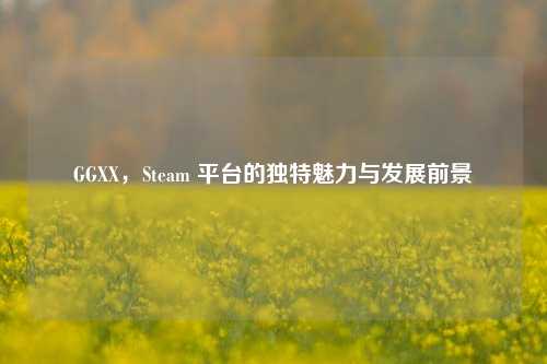 GGXX,Steam 平台的独特魅力与发展前景