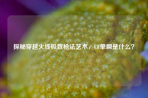 探秘穿越火线极致枪法艺术,CF单瞬是什么?