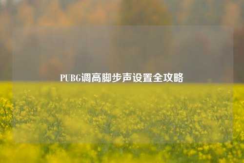 PUBG调高脚步声设置全攻略
