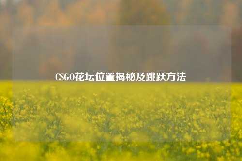 CSGO花坛位置揭秘及跳跃方法