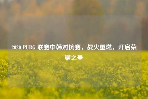 2020 PUBG 联赛中韩对抗赛,战火重燃,开启荣耀之争