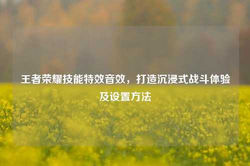 王者荣耀技能特效音效,打造沉浸式战斗体验及设置方法