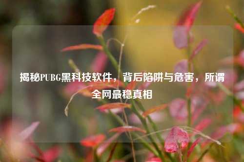 揭秘PUBG黑科技软件,背后陷阱与危害,所谓全网最稳真相