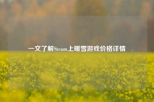 一文了解Steam上暖雪游戏价格详情