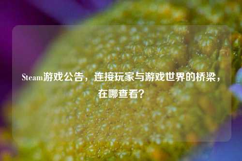 Steam游戏公告，连接玩家与游戏世界的桥梁，在哪查看？