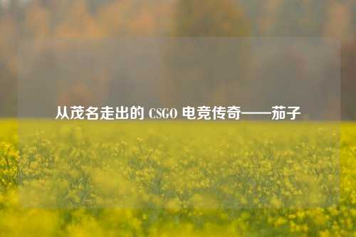从茂名走出的 CSGO 电竞传奇——茄子