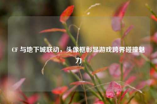 CF 与地下城联动,头像框彰显游戏跨界碰撞魅力