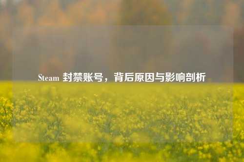 Steam 封禁账号,背后原因与影响剖析