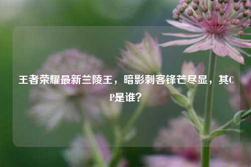 王者荣耀最新兰陵王，暗影刺客锋芒尽显，其CP是谁？