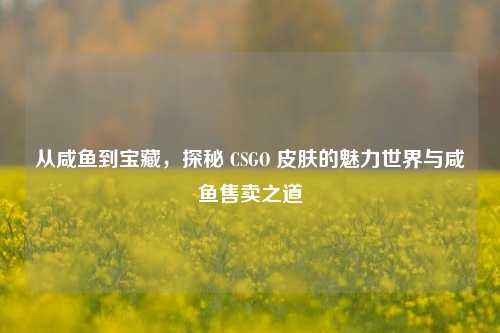 从咸鱼到宝藏，探秘 CSGO 皮肤的魅力世界与咸鱼售卖之道
