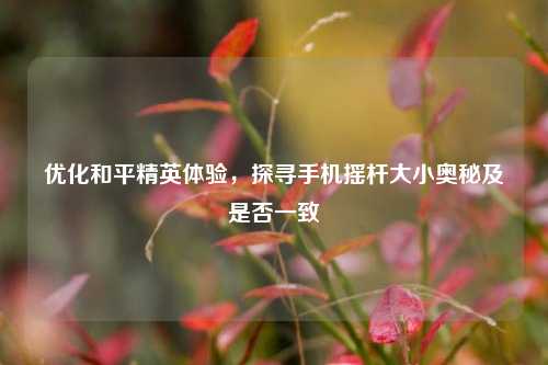 优化和平精英体验，探寻手机摇杆大小奥秘及是否一致