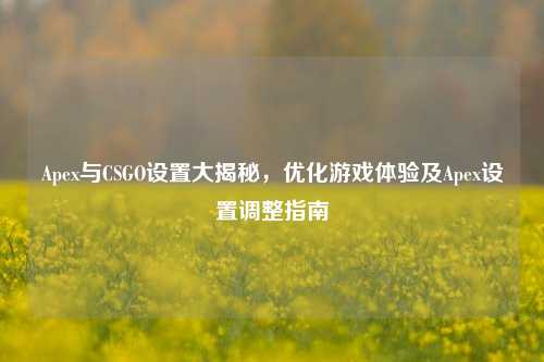 Apex与CSGO设置大揭秘，优化游戏体验及Apex设置调整指南