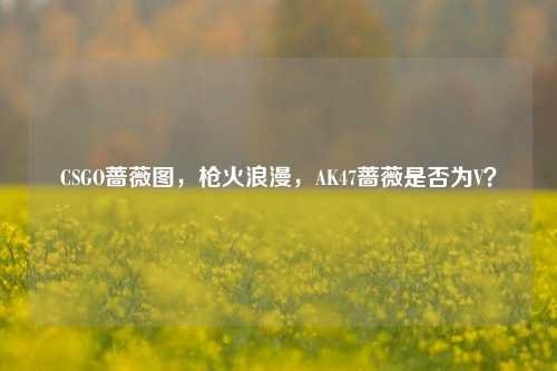CSGO蔷薇图,枪火浪漫,AK47蔷薇是否为V?