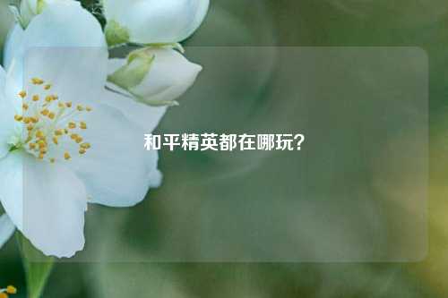 和平精英都在哪玩?