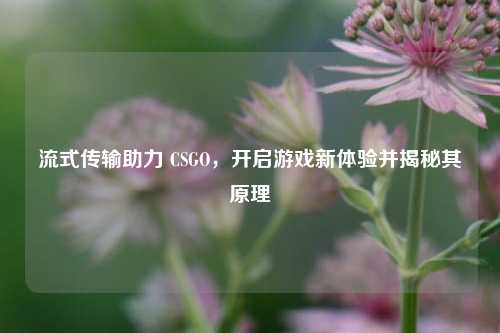 流式传输助力 CSGO，开启游戏新体验并揭秘其原理
